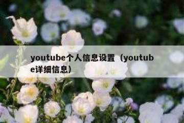 youtube个人信息设置（youtube详细信息）