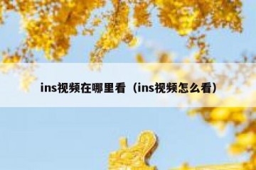 ins视频在哪里看（ins视频怎么看）