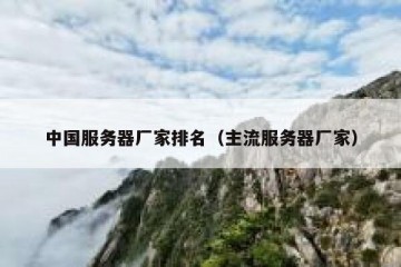 中国服务器厂家排名（主流服务器厂家）