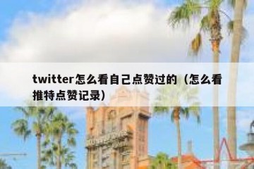 twitter怎么看自己点赞过的（怎么看推特点赞记录）