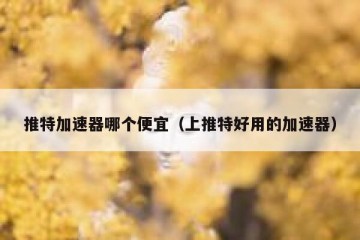 推特加速器哪个便宜（上推特好用的加速器）