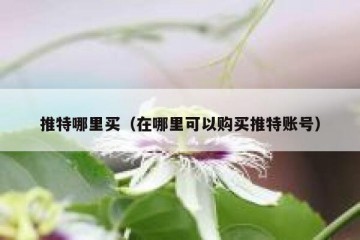 推特哪里买（在哪里可以购买推特账号）