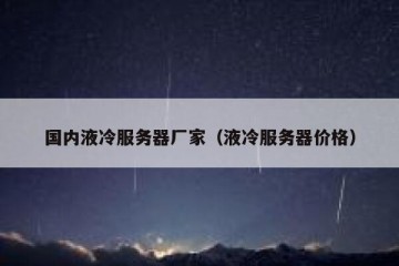 国内液冷服务器厂家（液冷服务器价格）