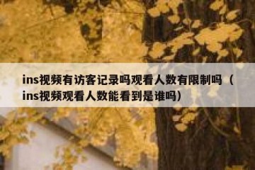 ins视频有访客记录吗观看人数有限制吗（ins视频观看人数能看到是谁吗）