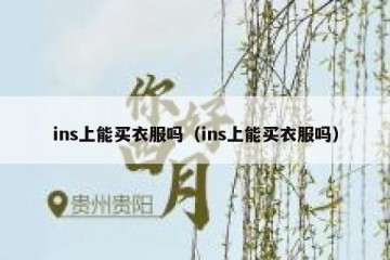 ins上能买衣服吗（ins上能买衣服吗）