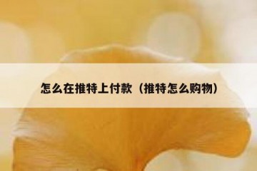 怎么在推特上付款（推特怎么购物）