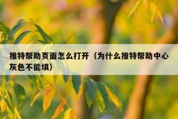 推特帮助页面怎么打开（为什么推特帮助中心灰色不能填）