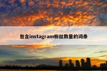 包含instagram粉丝数量的词条