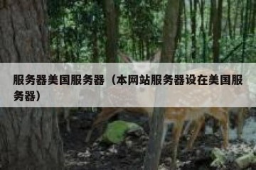 服务器美国服务器（本网站服务器设在美国服务器）
