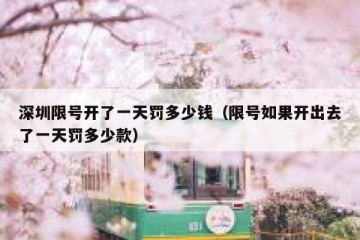 深圳限号开了一天罚多少钱（限号如果开出去了一天罚多少款）