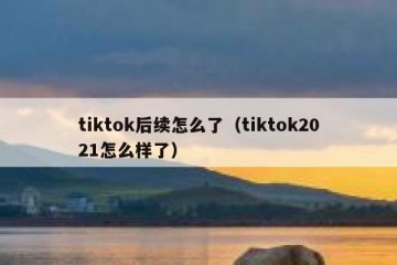 tiktok后续怎么了（tiktok2021怎么样了）