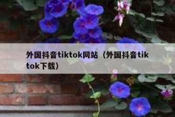 外国抖音tiktok网站（外国抖音tiktok下载）