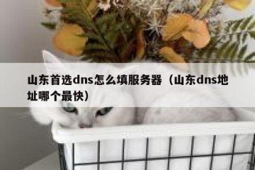 山东首选dns怎么填服务器（山东dns地址哪个最快）