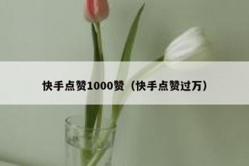 快手点赞1000赞（快手点赞过万）