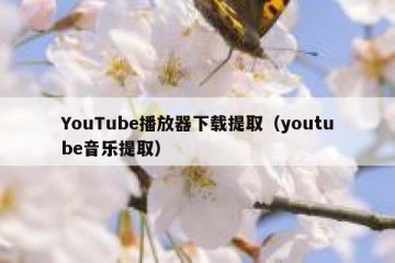 YouTube播放器下载提取（youtube音乐提取）