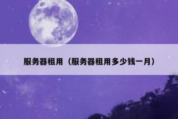 服务器租用（服务器租用多少钱一月）