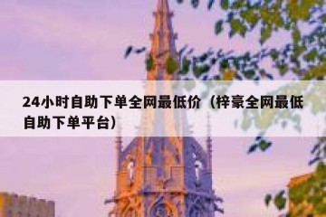24小时自助下单全网最低价（梓豪全网最低自助下单平台）