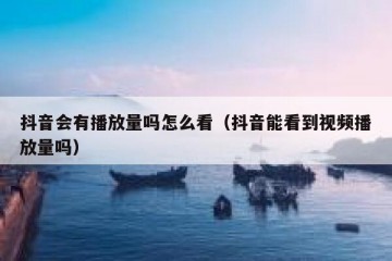 抖音会有播放量吗怎么看（抖音能看到视频播放量吗）