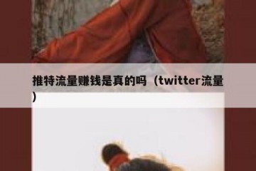 推特流量赚钱是真的吗（twitter流量）