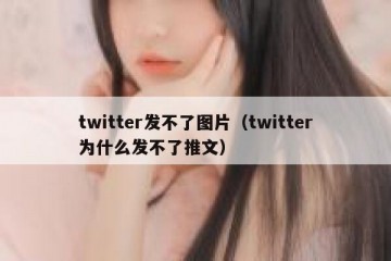 twitter发不了图片（twitter为什么发不了推文）