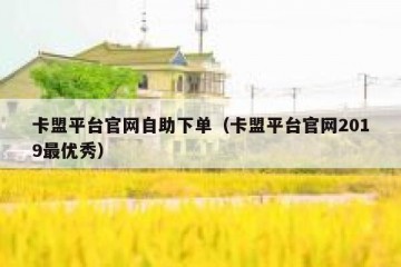 卡盟平台官网自助下单（卡盟平台官网2019最优秀）