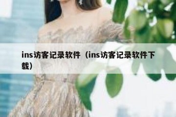 ins访客记录软件（ins访客记录软件下载）