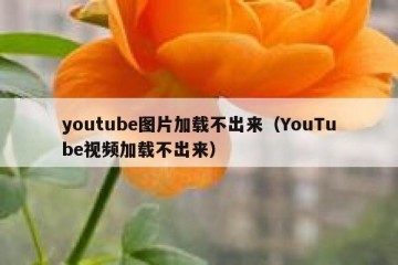 youtube图片加载不出来（YouTube视频加载不出来）
