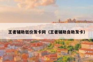 王者辅助低价发卡网（王者辅助自助发卡）