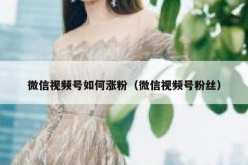 微信视频号如何涨粉（微信视频号粉丝）