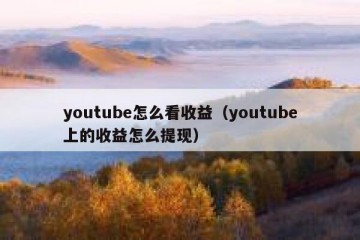 youtube怎么看收益（youtube上的收益怎么提现）