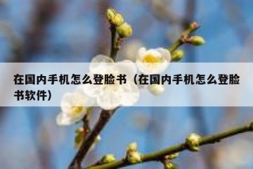 在国内手机怎么登脸书（在国内手机怎么登脸书软件）
