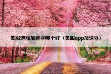 美服游戏加速器哪个好（美服app加速器）