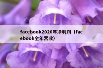 facebook2020年净利润（facebook全年营收）