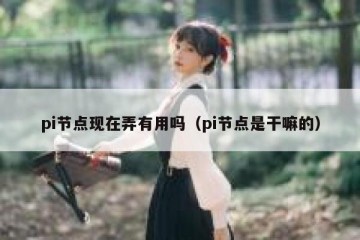 pi节点现在弄有用吗（pi节点是干嘛的）