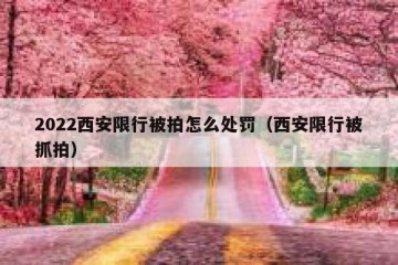 2022西安限行被拍怎么处罚（西安限行被抓拍）
