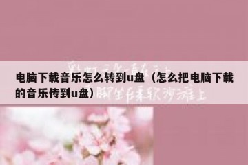电脑下载音乐怎么转到u盘（怎么把电脑下载的音乐传到u盘）