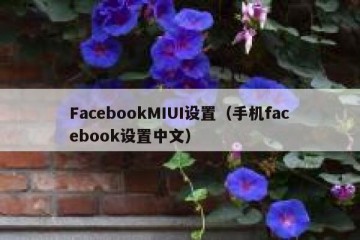 FacebookMIUI设置（手机facebook设置中文）