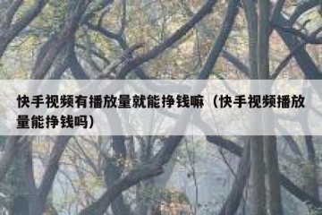 快手视频有播放量就能挣钱嘛（快手视频播放量能挣钱吗）
