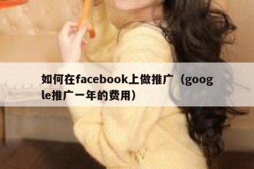 如何在facebook上做推广（google推广一年的费用）
