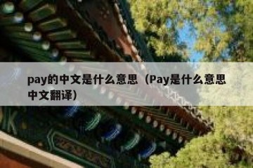 pay的中文是什么意思（Pay是什么意思中文翻译）
