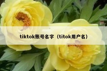 tiktok账号名字（titok用户名）