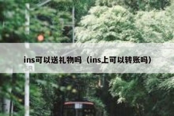 ins可以送礼物吗（ins上可以转账吗）