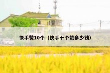 快手赞10个（快手十个赞多少钱）