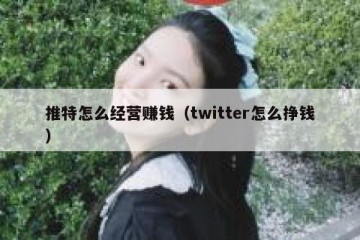 推特怎么经营赚钱（twitter怎么挣钱）