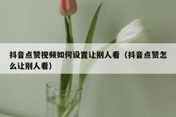 抖音点赞视频如何设置让别人看（抖音点赞怎么让别人看）
