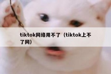 tiktok网络用不了（tiktok上不了网）