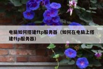 电脑如何搭建ftp服务器（如何在电脑上搭建ftp服务器）