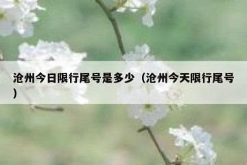 沧州今日限行尾号是多少（沧州今天限行尾号）