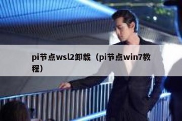 pi节点wsl2卸载（pi节点win7教程）