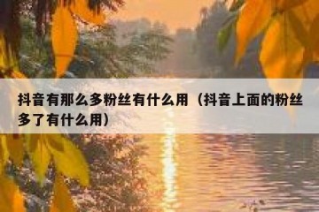 抖音有那么多粉丝有什么用（抖音上面的粉丝多了有什么用）